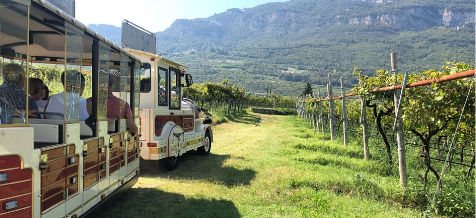 Il Wine Train - foto Archivio Strada del Vino Trentino (Lorenza Campolongo)